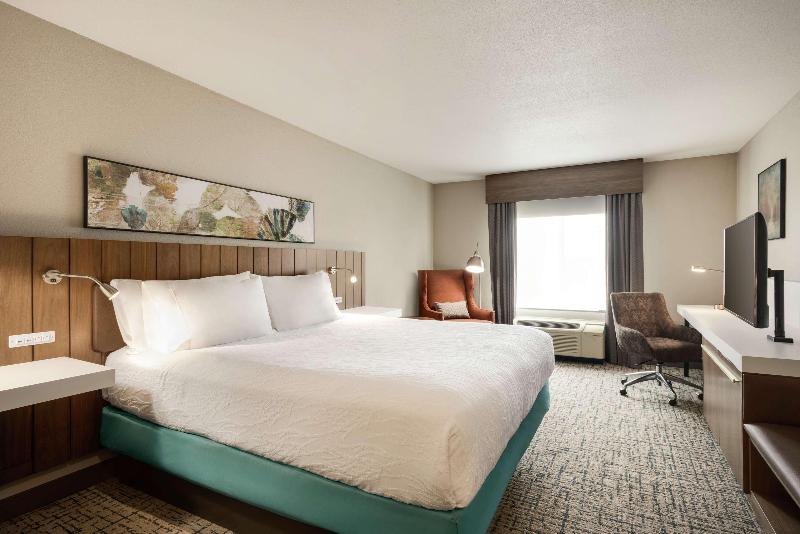 Standard Værelse King Size Seng, Hilton Garden Inn Dubuque Downtown