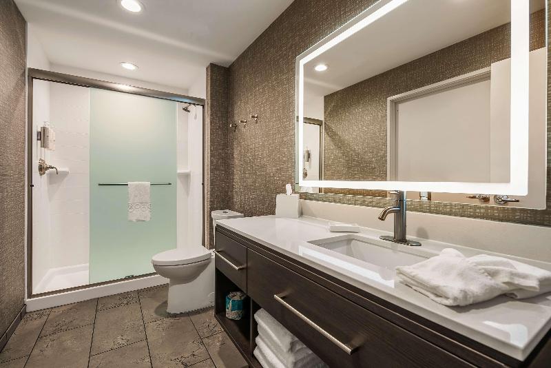 장애인을 위한 킹사이즈 침대 스탠다드 룸, Hilton Garden Inn Dubuque Downtown