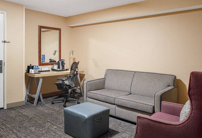 套房, Hilton Garden Inn Fredericksburg