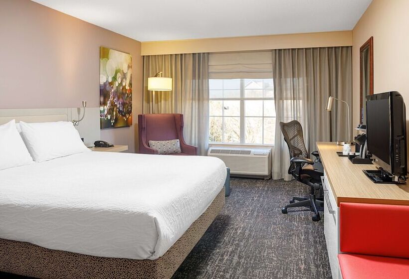 스위트, Hilton Garden Inn Fredericksburg