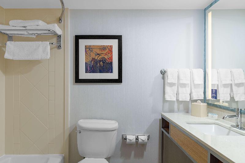 스탠다드 룸 킹사이즈 침대, Hilton Garden Inn Fredericksburg