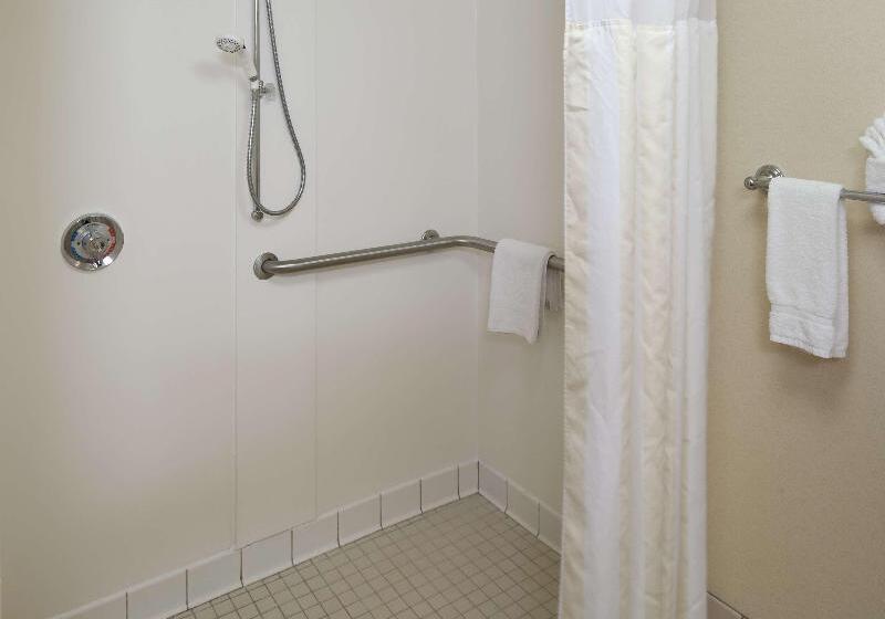 带大床的套房, Hilton Garden Inn Fredericksburg