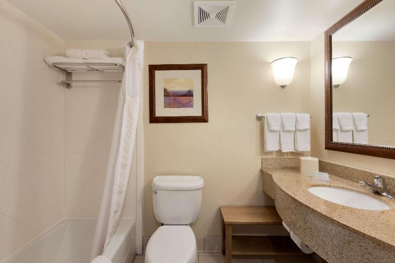 스탠다드 룸 킹사이즈 침대, Hilton Garden Inn Fredericksburg
