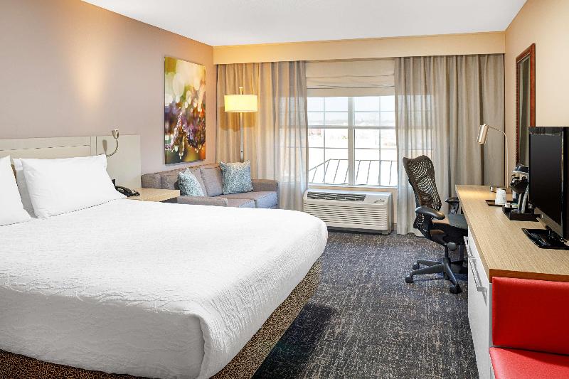 适合残疾人士使用的带超级大床的标准间, Hilton Garden Inn Fredericksburg