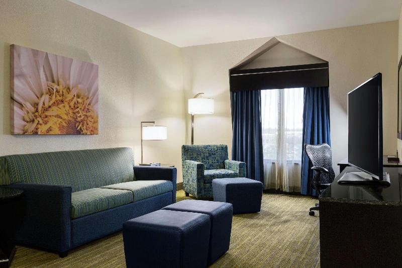 اتاق پرمیوم, Hilton Garden Inn Houston Nw/willowbrook