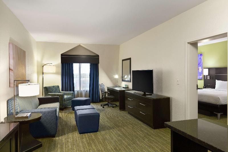 Номер Премиум, Hilton Garden Inn Houston Nw/willowbrook