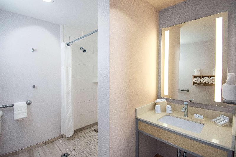 Suite Cama King, Hilton Garden Inn South Bend