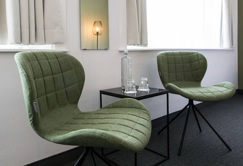 Номер Deluxe, Parkzicht Eindhoven