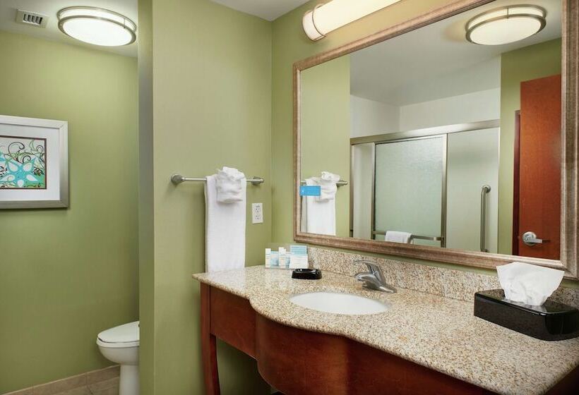 스탠다드 룸, Hampton Inn Bermuda Run