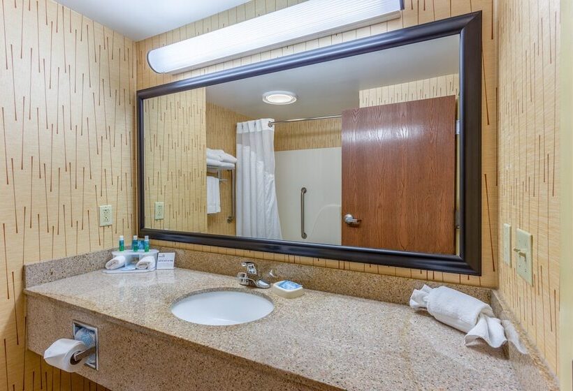 Люкс, Holiday Inn Express Hotel & Suites Bowling Green, An Ihg