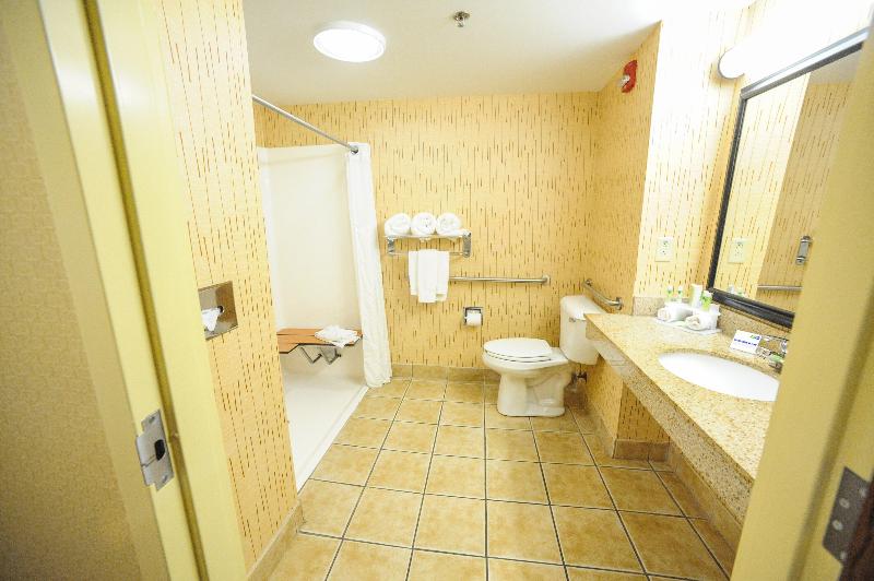 Стандартный Номер Кровать Кинг, Holiday Inn Express Hotel & Suites Bowling Green, An Ihg