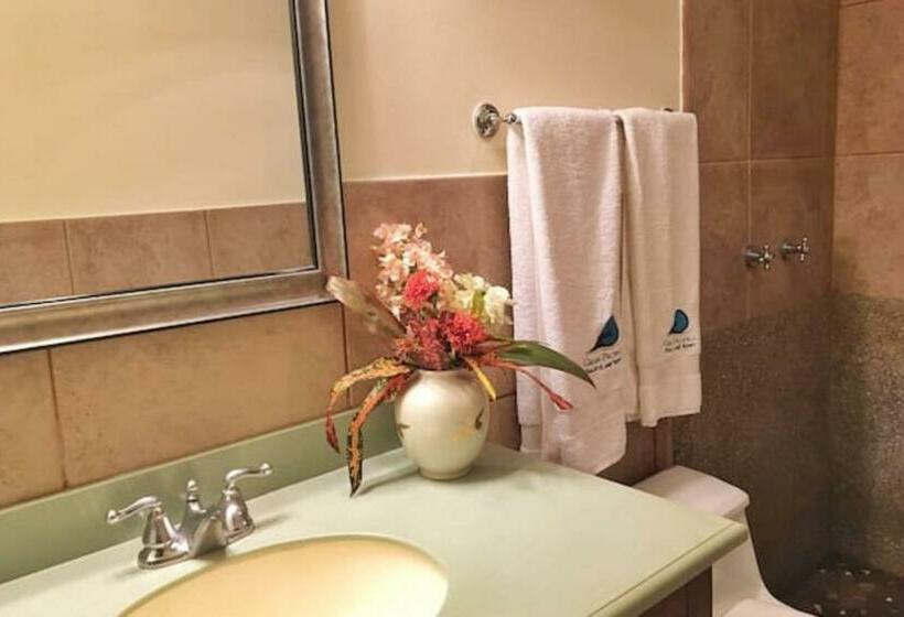 침실 1개 아파트, Suite Rivas 126 Gran Pacifica Resort