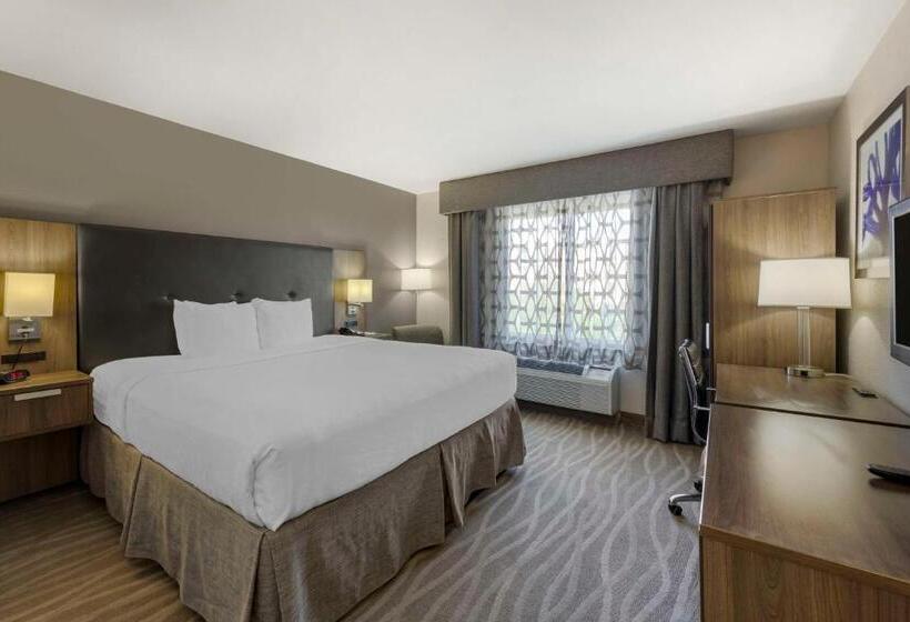 Pokój Standard Łóżko King Size, Best Western Plus Nashville Airport Hotel   Bna