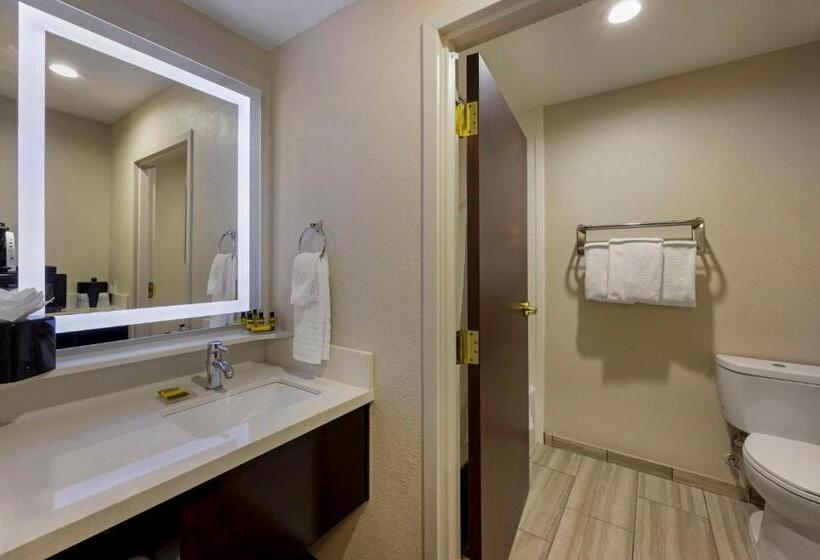 Executive Suite King Bed, Best Western Plus Nashville Airport Hotel   Bna
