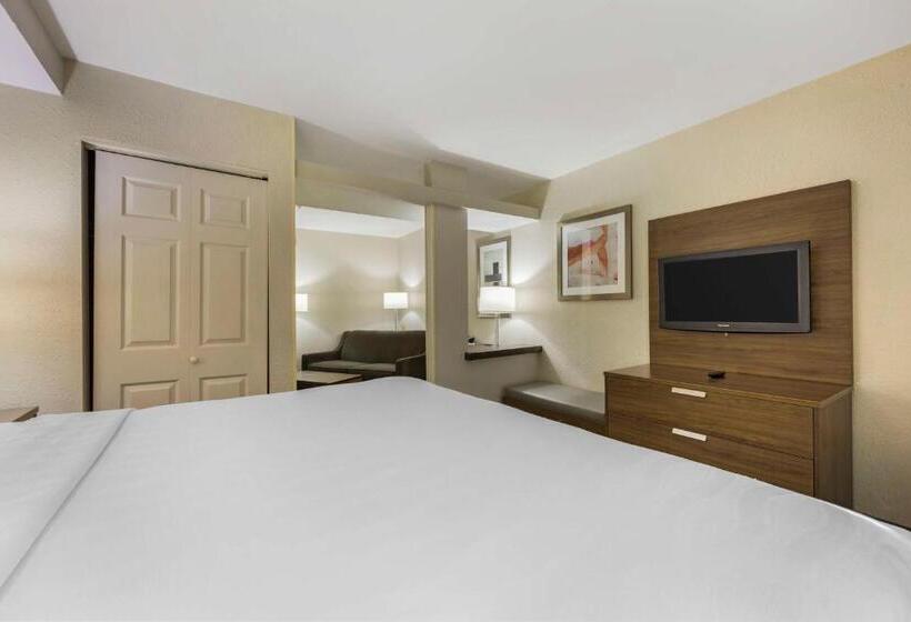 Suite Łóżko King Size, Best Western Plus Nashville Airport Hotel   Bna