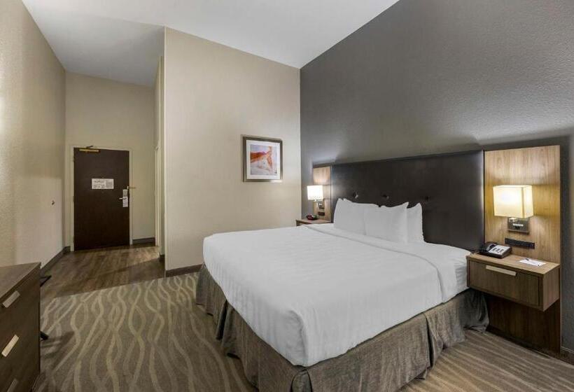 Pokój Typu Standard Łóżko King Przystosowany dla Osób Niepełnosprawnych, Best Western Plus Nashville Airport Hotel   Bna