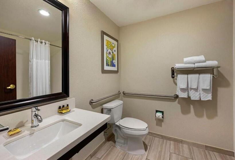 Pokój Typu Standard Przystosowany dla Osób Niepełnosprawnych, Best Western Plus Nashville Airport Hotel   Bna