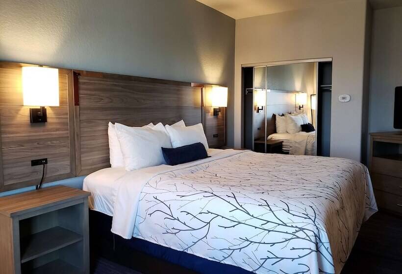 Suite, Best Western Plus San Antonio East Inn & Suites