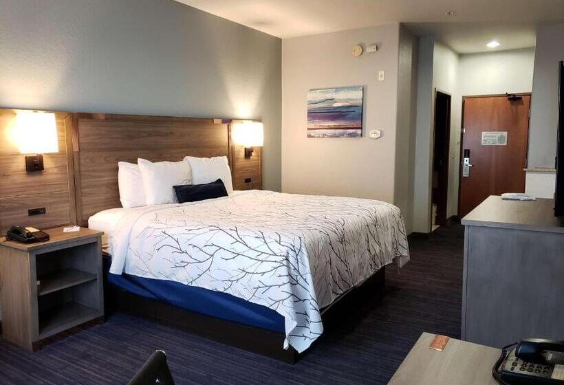 Chambre Standard Lit King Size, Best Western Plus San Antonio East Inn & Suites