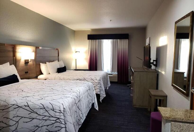Chambre Standard Adaptée aux Personnes à Mobilité Réduite, Best Western Plus San Antonio East Inn & Suites