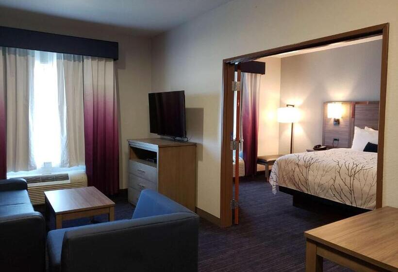 Suite Adaptée aux Personnes à Mobilité Réduite, Best Western Plus San Antonio East Inn & Suites