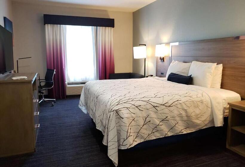 Chambre Standard Lit King Size Adaptée aux Personnes à Mobilité Réduite, Best Western Plus San Antonio East Inn & Suites