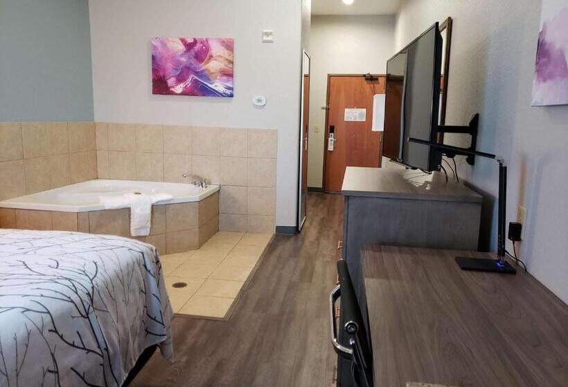 Chambre Standard Adaptée aux Personnes à Mobilité Réduite, Best Western Plus San Antonio East Inn & Suites