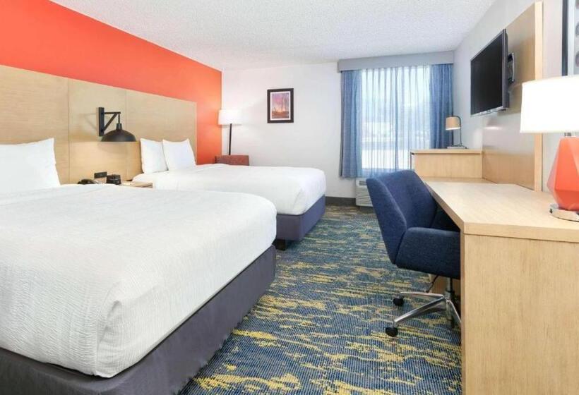 اتاق استاندارد برای معلولان, La Quinta By Wyndham Dallas   Las Colinas