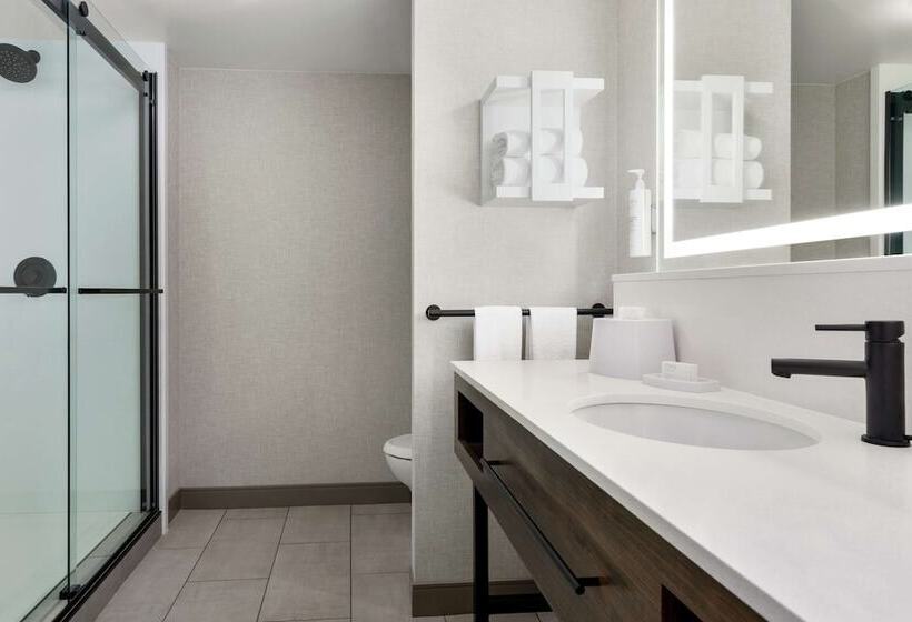 스탠다드 스튜디오 더블 침대, Hampton Inn & Suites Greenville Downtown Riverplace