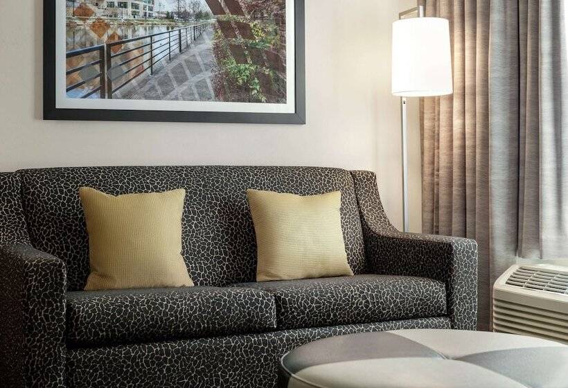 스탠다드 스튜디오 더블 침대, Hampton Inn & Suites Greenville Downtown Riverplace
