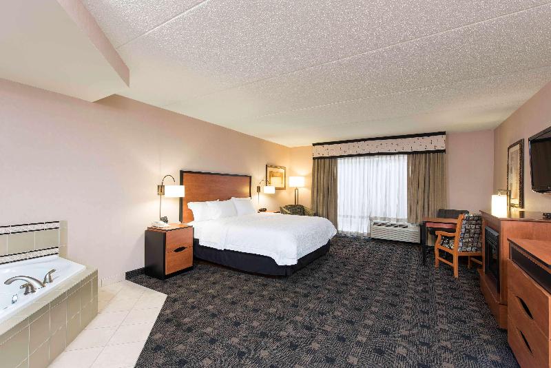 带大床的标准间, Hampton Inn And Suites Indianapolis Fishers