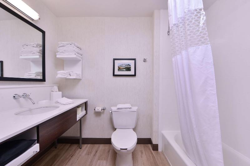 带大床的套房, Hampton Inn & Suites Woodland Sacramento Area