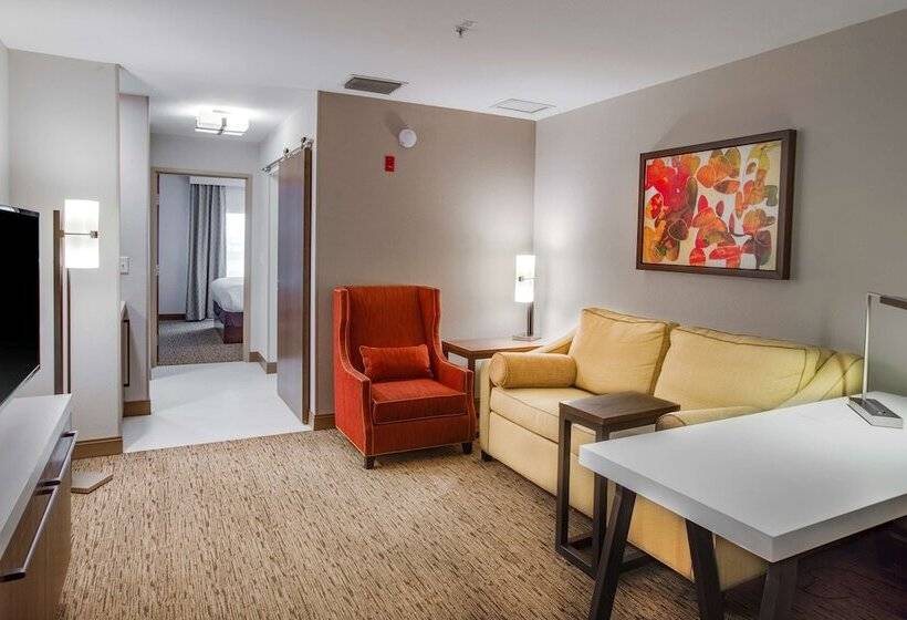 Люкс, Hilton Garden Inn Oklahoma City Airport