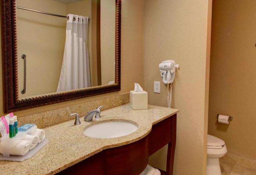 Номер Стандарт, Holiday Inn Express & Suites Sioux City South, An Ihg