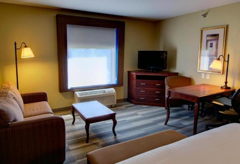 Стандартный Номер Кровать Кинг, Holiday Inn Express & Suites Sioux City South, An Ihg