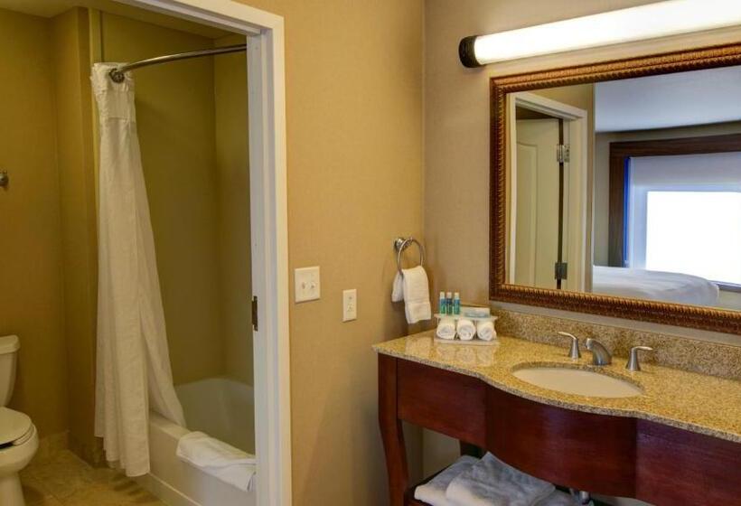 Люкс Executive Кровать Кинг, Holiday Inn Express & Suites Sioux City South, An Ihg