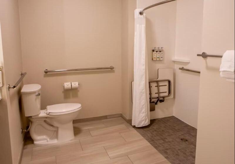 Номер Стандарт Кровать Кинг Адаптированный для Инвалидов, Holiday Inn Express & Suites Sioux City South, An Ihg