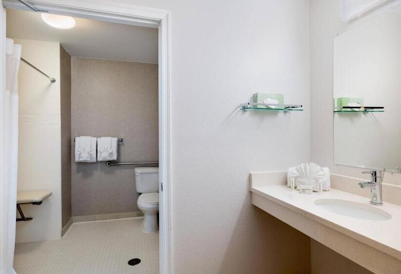 Студио Стандарт Кровать Кинг, Residence Inn By Marriott Williamsburg