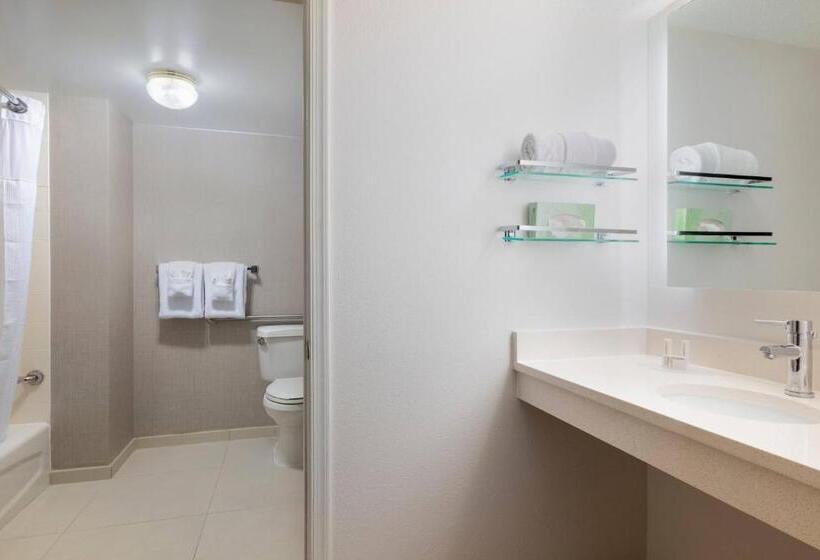 Люкс 2 Спальни, Residence Inn By Marriott Williamsburg