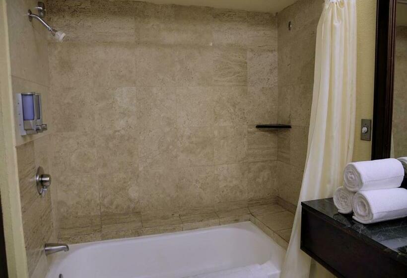 Номер Deluxe Кровать Кинг, Wyndham San Jose Herradura