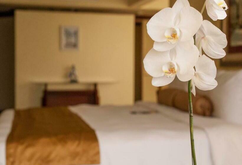 Люкс Кровать Кинг, Wyndham San Jose Herradura
