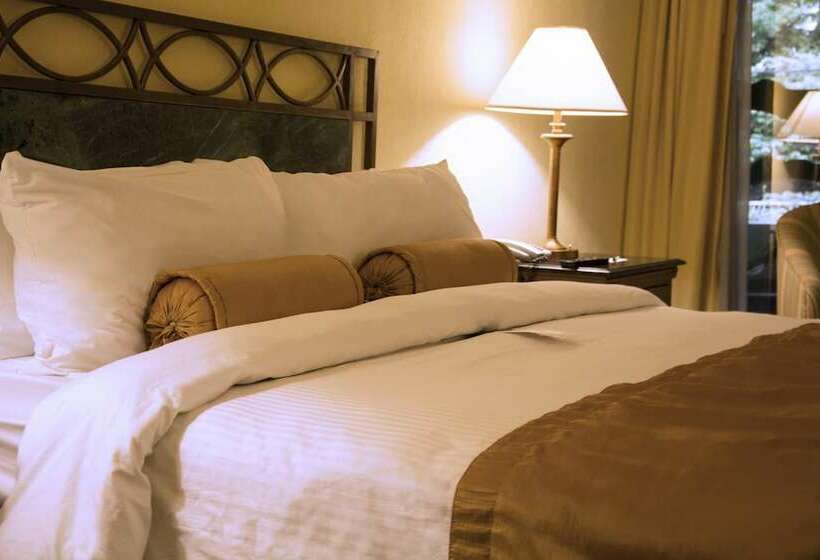Номер Deluxe, Wyndham San Jose Herradura