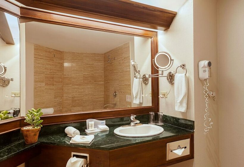 Полулюкс, Wyndham San Jose Herradura