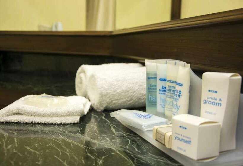 Номер Deluxe, Wyndham San Jose Herradura