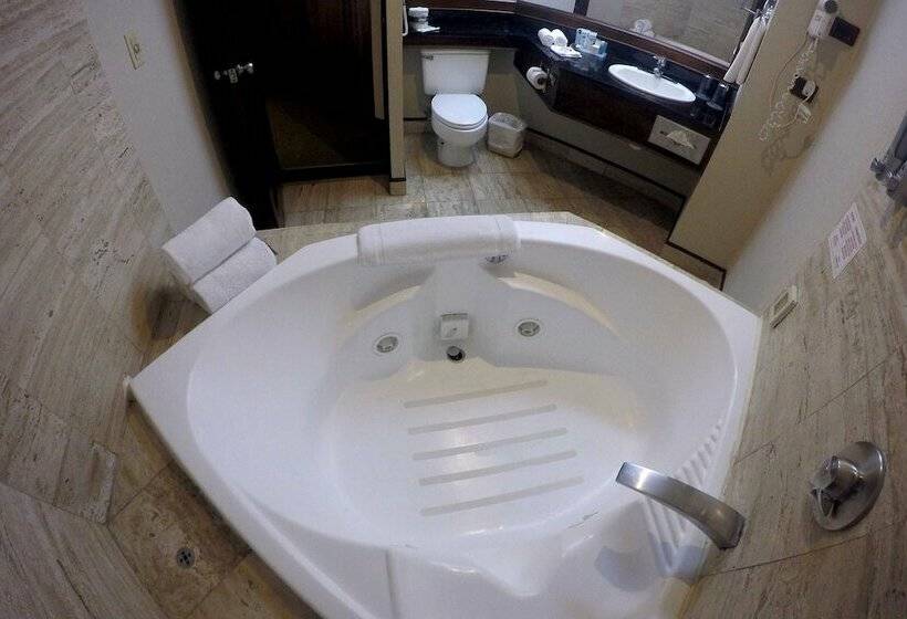 Полулюкс, Wyndham San Jose Herradura