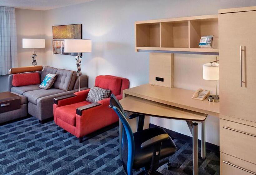 스위트 킹사이즈 침대, Towneplace Suites By Marriott Albany Downtown/medical Center