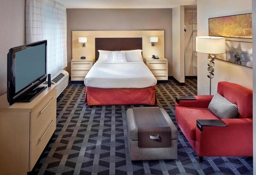 스탠다드 스튜디오, Towneplace Suites By Marriott Albany Downtown/medical Center