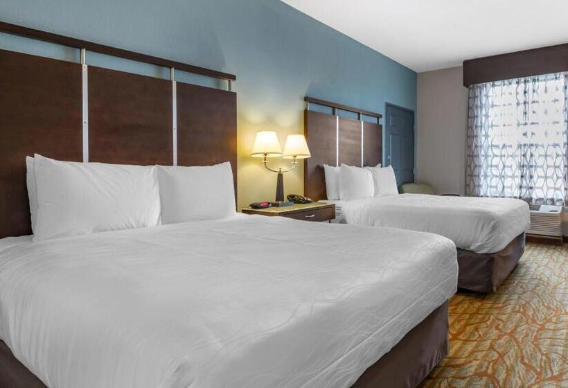 חדר סטנדרט, Best Western Plus Bradenton Gateway