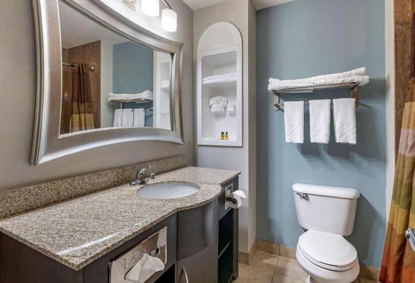 חדר סטנדרט, Best Western Plus Bradenton Gateway