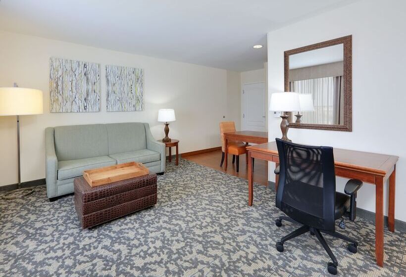 Люкс, Homewood Suites By Hilton Houston Stafford Sugarland